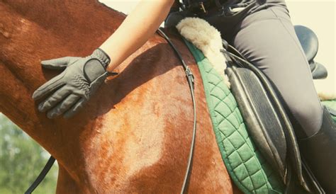 Best Horse Riding Gloves | Five Top Picks | 2024