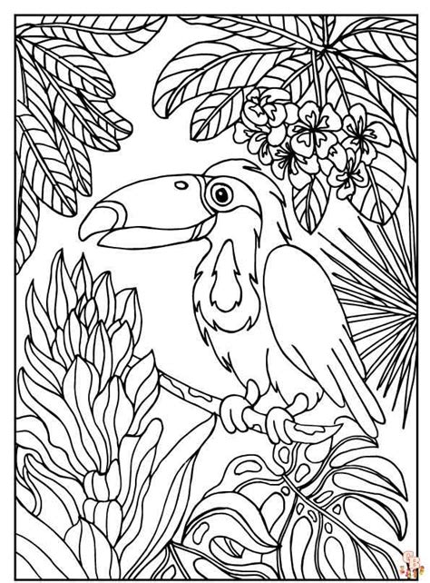 Free Coloring Pages Of Rainforest