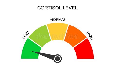 Cortisol Meter Vertical Scale. Body Stress Response Levels Chart from Low To High Isolated on ...