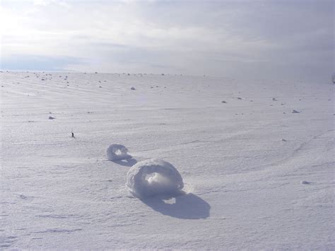 Meet Nature's Strange, Self-Rolling Snow Doughnuts : ScienceAlert