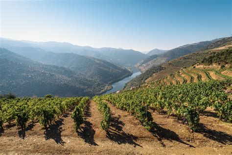 Douro Valley Travel Guide - Portugal.com