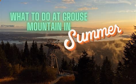 Things to Do at Grouse Mountain in Summer: Activities 2024