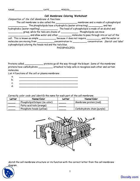 Cell Membrane Coloring Worksheet Answers