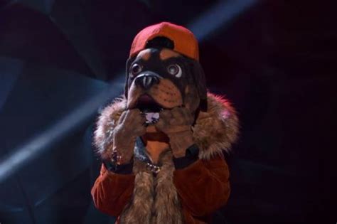 The Masked Singer 2019: Rottweiler unmasked, who is Rottweiler? - Startattle