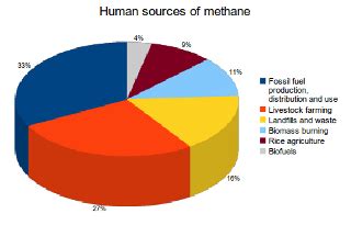 Main sources of methane emissions | What's Your Impact