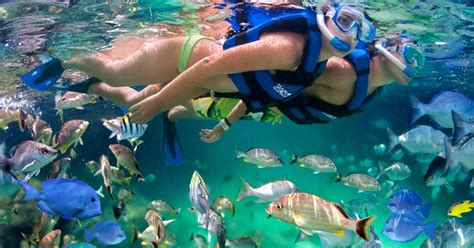 Scuba and Snorkeling Tours in Cancun