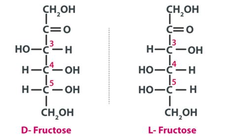 Write the ring structure and open chain structure of fructose