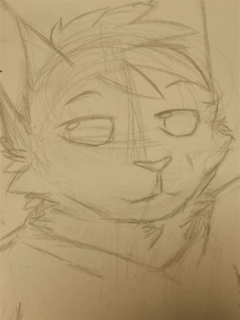 A cat, finally uwu WIP but I like it. Critique? : r/FurryArtSchool