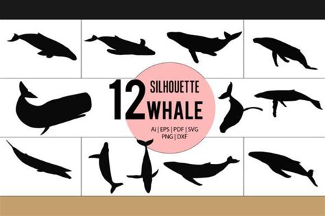 Whale - Silhouette, SVG, Ai, EPS, PNG Graphic by Masudur Rahman Rana ...