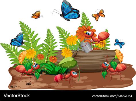 Scene with many bugs in garden Royalty Free Vector Image