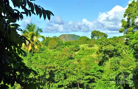 St. Kitts Volcano Photograph by George Sylvia - Fine Art America