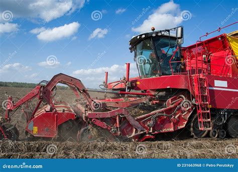 Potato harvester machine stock photo. Image of agricultural - 231663968