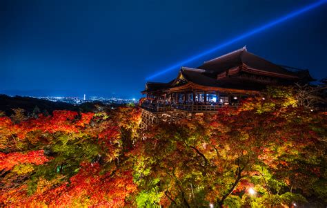 Kiyomizudera Temple Fall Foliage Evening Illumination - Travel Caffeine