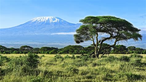 Mount Kilimanjaro view in Amboseli National Park, Kenya | Windows Spotlight Images