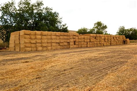 Straw Bales | Nikon Cafe