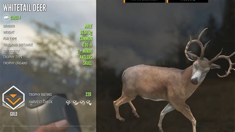 Better Spawns at theHunter: Call of the Wild Nexus - Mods and community