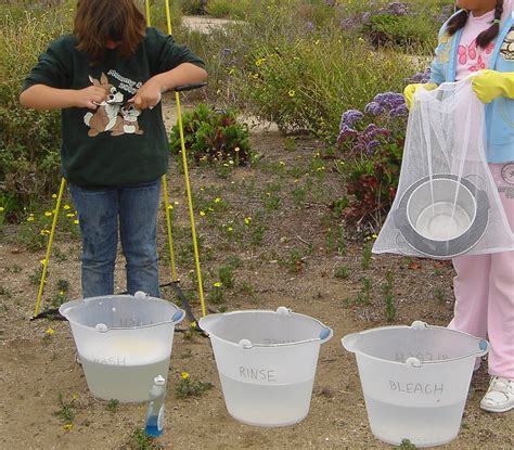 How to Go Camping With Your Girl Scout Troop - WeHaveKids