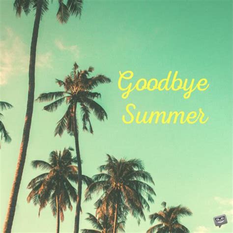 Goodbye, Summer | Farewell to the Hottest Season of the Year