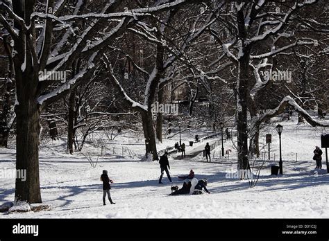 Making snow man in central park NY Stock Photo - Alamy