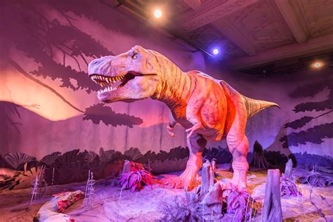 'New World-Class Dinosaur Gallery' Coming To Natural History Museum | Londonist