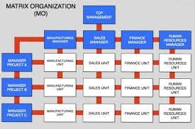 Matrix Structure: Examples, Definition, Advantages and Disadvantages