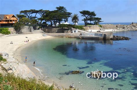 10 BEST Things at Lover's Point Beach - swim, dogs, history