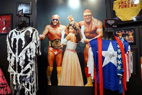 WWE Legend Macho Man and Hulk Hogan Mega Powers Outfits, Hats, S ...