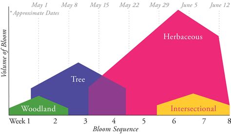 Garden Design and Peony Planting — Peony's Envy