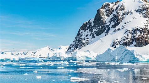 Canada's last intact ice shelf collapses due to warming - CGTN