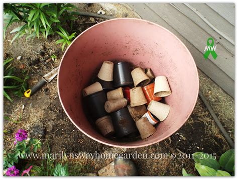 9 Filler Ideas For Large Planters - Marilyn's Way