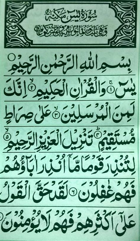 Surah Yaseen (10 Copy)