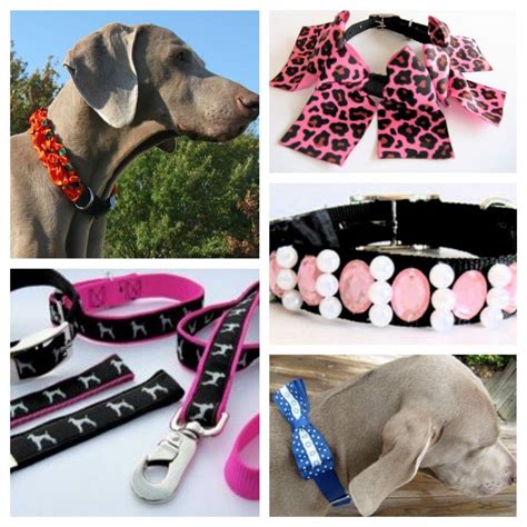 Zamora’s Custom Collars for Dogs and Cats | The Crafty Ninja