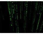 Matrix Screensaver Linux - The Matrix Falling Code Screensaver