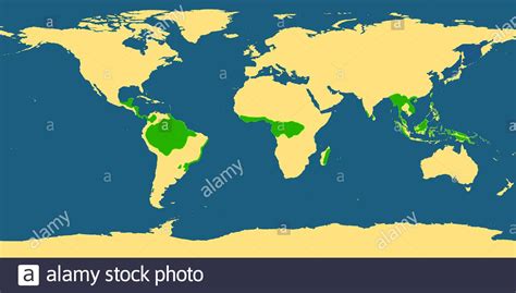 World Map with Tropical Rainforest Areas Stock Photo - Alamy