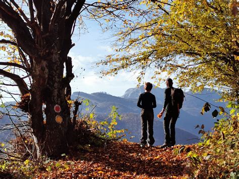 1+ day Trekking in the Cerna Valley in Romania, Mehedinti Mountains ...