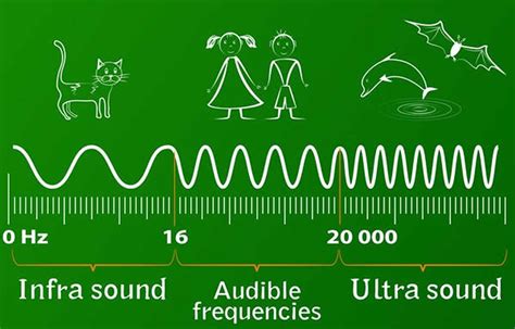 The new field of sonogenetics uses sound waves to control the behavior of brain cells ...