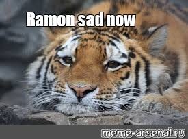 Meme: "Ramon sad now" - All Templates - Meme-arsenal.com