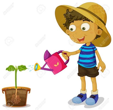 Planta De Riego Del Niño En El Fondo Blanco Ilustración Ilustraciones Vectoriales, Clip Art ...