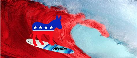 2022 Midterm Election Analysis - American ProLifer