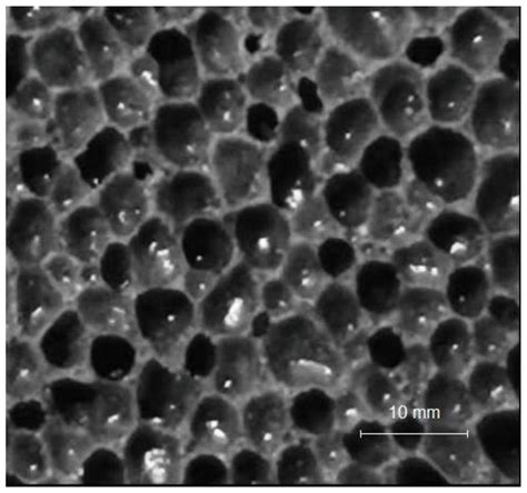 Foamed ceramic prepared from gold tailings and coal gangue and preparation method - Eureka | Patsnap