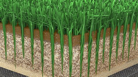 How FieldTurf Changed Sports Forever - FieldTurf