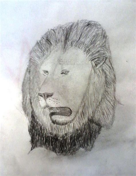 Roaring Lion Drawing by Carl Diers - Fine Art America