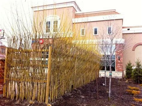 4 Beautiful Living Willow Fence Designs