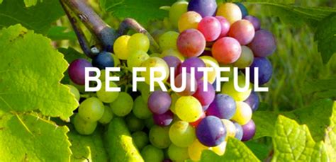 Spiritual Activism: BE FRUITFUL AND MULTIPLY