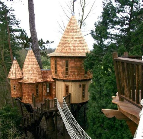 Here It Is: The Ewok Treehouse You Always Wanted | Beautiful tree ...