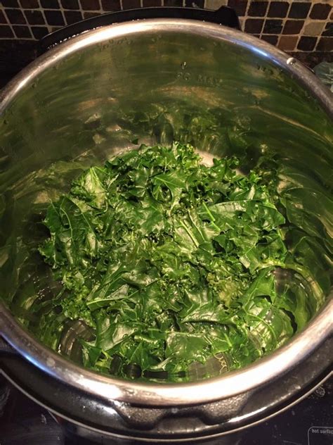 Instant Pot Kale Recipe – Melanie Cooks