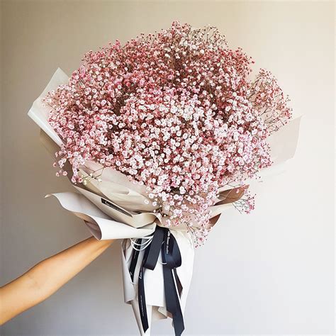 Pink Baby'S Breath Bouquet - BABBIES CHR