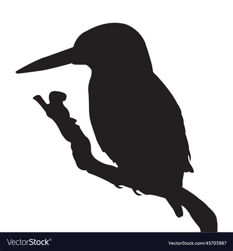 Common kingfisher silhouette Royalty Free Vector Image