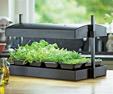 Grow Light System Set Indoor Plant Seed Starter Garden Box Kit Herb Vegetable | eBay