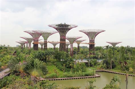 Gardens by the Bay: Singapore’s Most Popular Running Spot | JustRunLah!